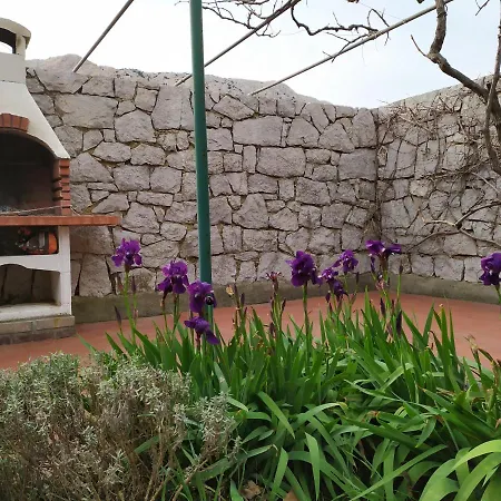 Case de vacanță House Maja